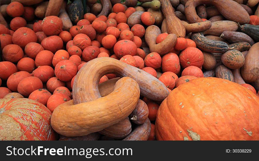 The close-up of orange pumpkin