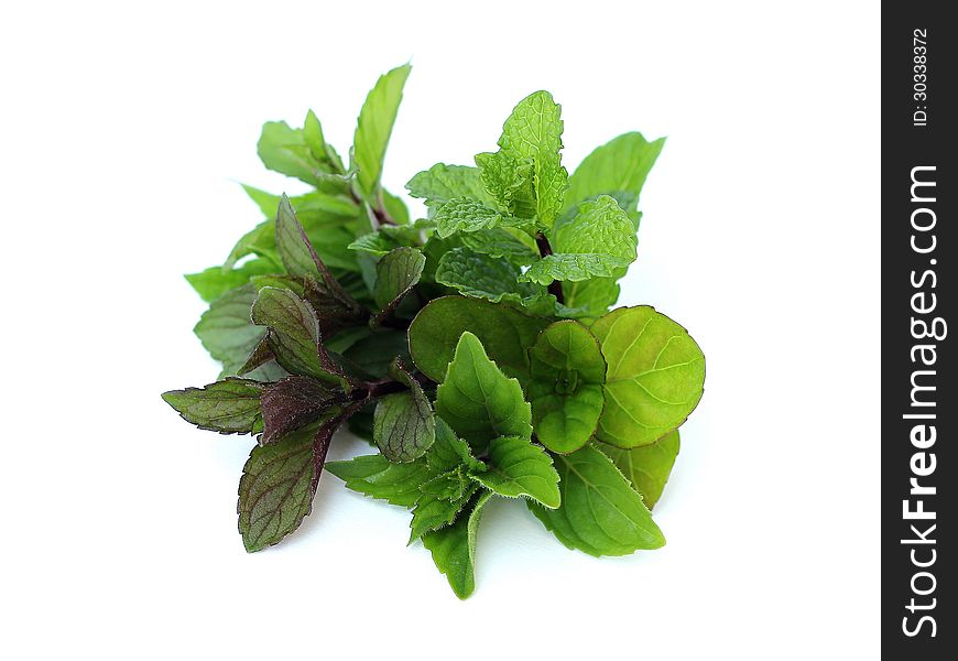 Different types of mint on white background