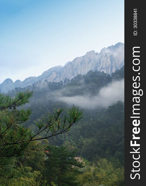 China's Huang Shan mountain and pine and cypress.