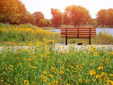 Bench In The Park Stock Photography