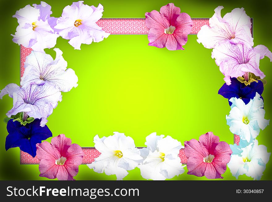 Spring flowers frame