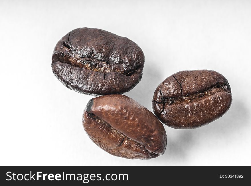 Coffee bean on a white background