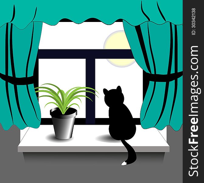 Black cat and green plant on the window. Black cat and green plant on the window