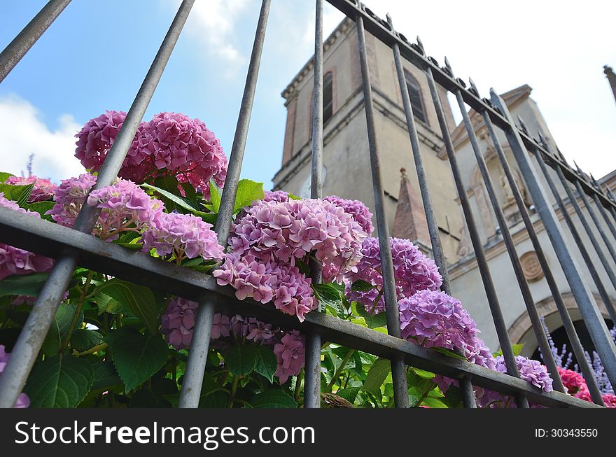 Summer View Of The Basque Town