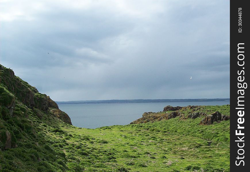 Green island by the ocean with birds flying. Green island by the ocean with birds flying