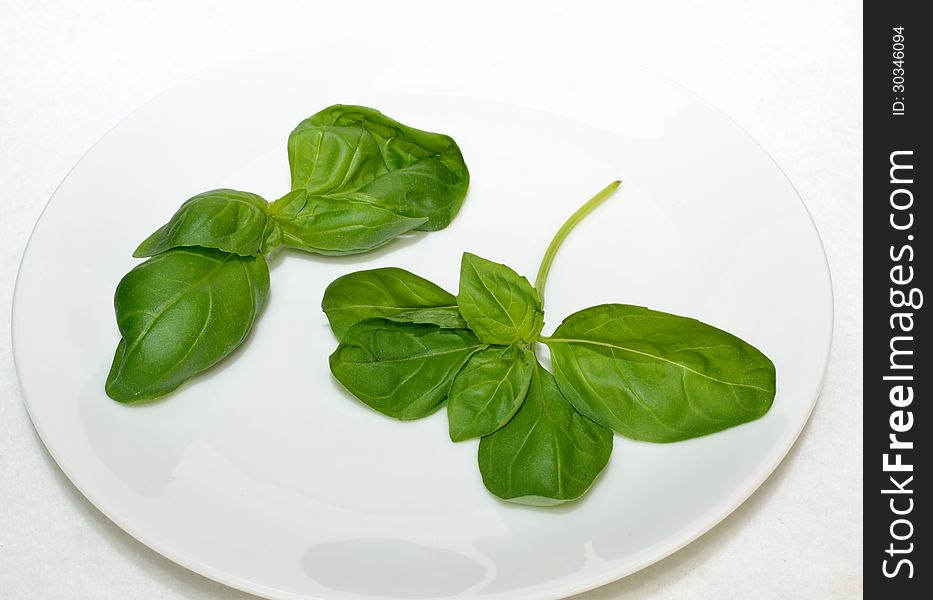 Basil leaves on a plate.