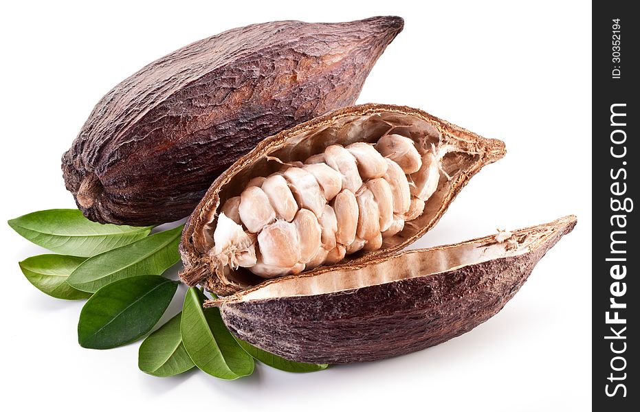 Cocoa pod on a white background.