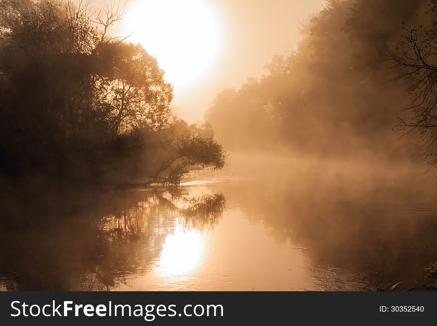 The morning fog covers water and trees in the light of sun. The morning fog covers water and trees in the light of sun