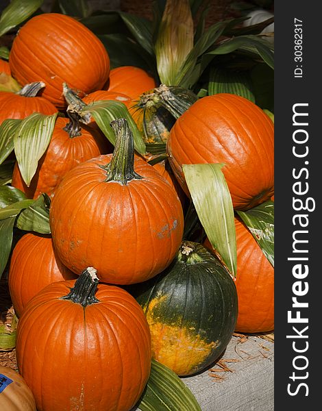 Colorful pile of pumpkins from a vendor at a Farmer's market. Colorful pile of pumpkins from a vendor at a Farmer's market.