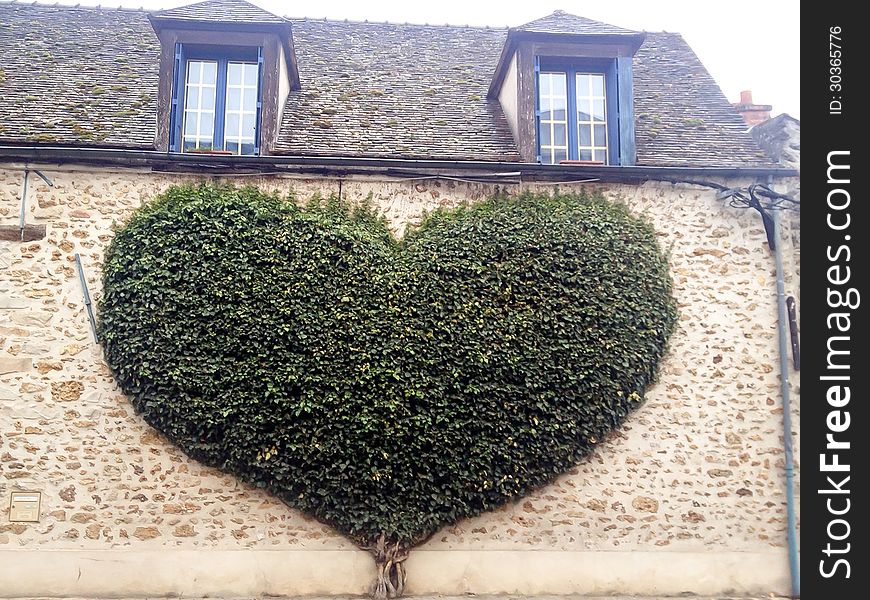 Heart shaped treeI on wall. Heart shaped treeI on wall
