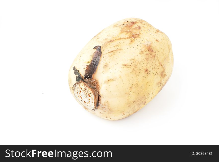 Raw lotus root isolated on a white bakcground