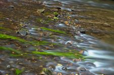 Flowing Water In The Creek Stock Image Flowing Water In The Creek Stock Image