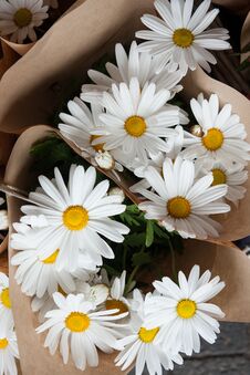 Beautiful Flowers In Flower Shop Stock Image Beautiful Flowers In Flower Shop Stock Image