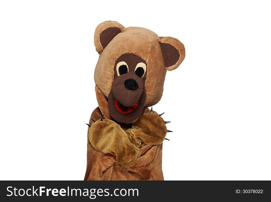 Funny Bear Costume