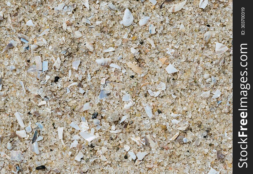 Macro shot of sand mixed with small fragments of shells on the beach. Background