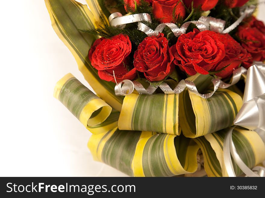 Red rose flowers  with water drops