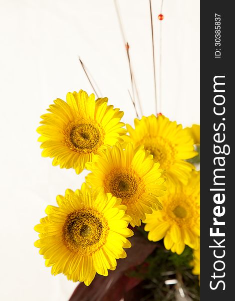 Bouquet of yellow and white flowers on white. Bouquet of yellow and white flowers on white