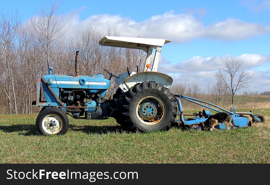 A old blue and white tractor in an early spring field featuring blue skies with puffy clouds. A German Shepherd Dog is sniffing at the tractor. Profile view. A old blue and white tractor in an early spring field featuring blue skies with puffy clouds. A German Shepherd Dog is sniffing at the tractor. Profile view.