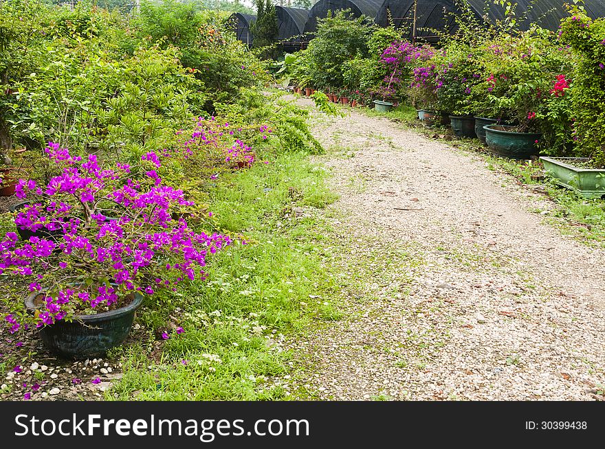 Curved path in a peace garden. Curved path in a peace garden