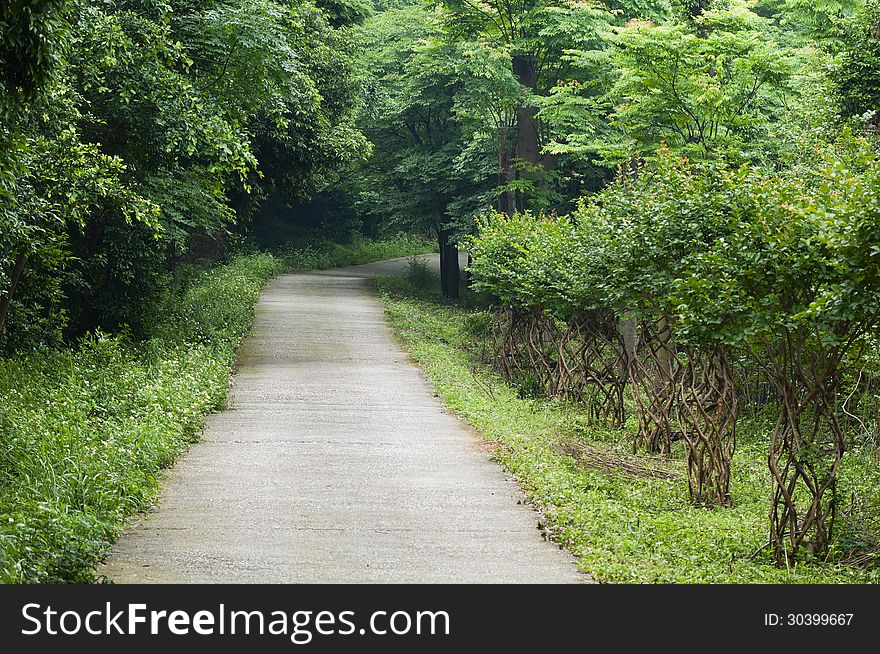 Curved path in a peace garden. Curved path in a peace garden