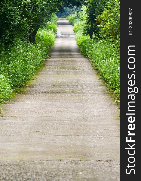 Curved path in a  peace garden. Curved path in a  peace garden