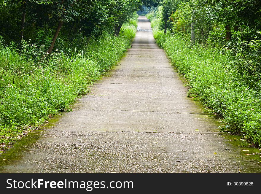 Curved path in a peace garden. Curved path in a peace garden