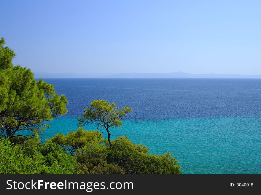 Forest on the coast with blue sea. Forest on the coast with blue sea