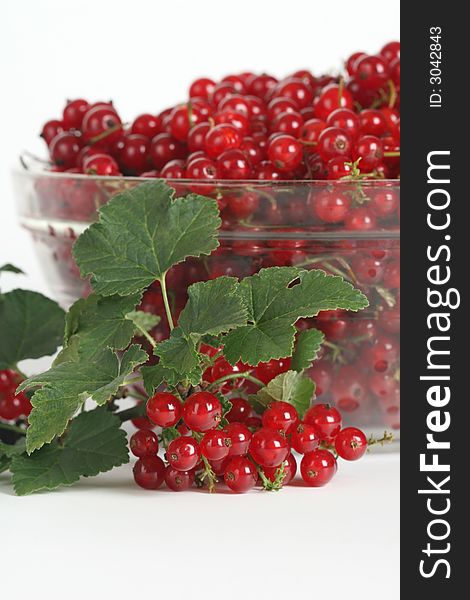 Fresh currant on a white background