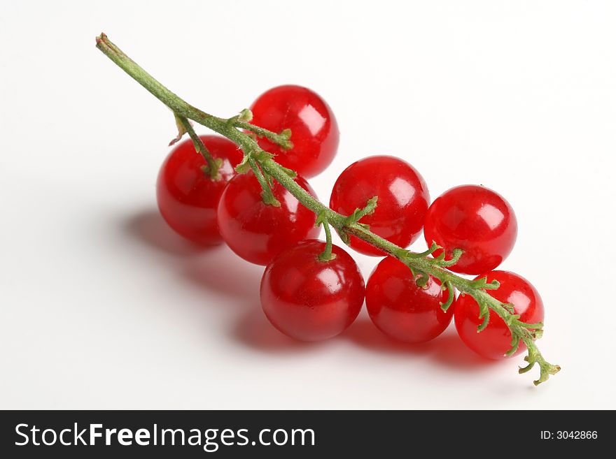 Fresh currant on a white background