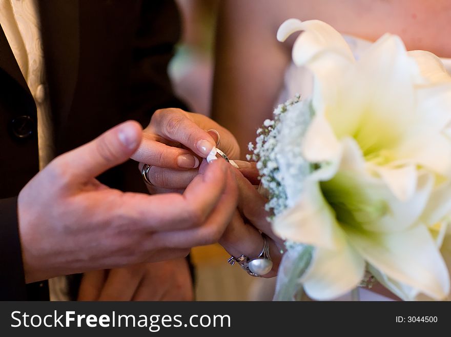 While the wedding - Closeup of hands, putting the rings to the other hand. While the wedding - Closeup of hands, putting the rings to the other hand.