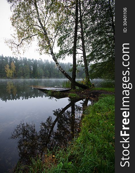 Water reflection of trees in morning forest