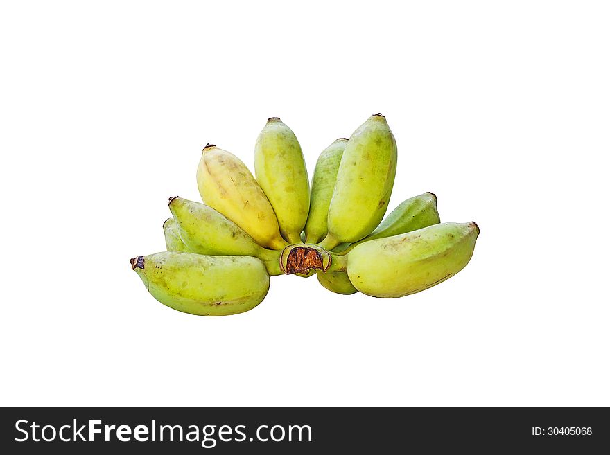 The unripe banana bunches, isolated