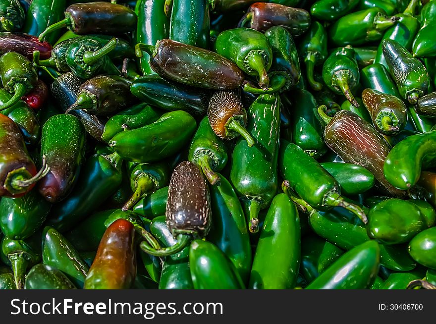 A large group of pretty Jalapeno peppers. A large group of pretty Jalapeno peppers