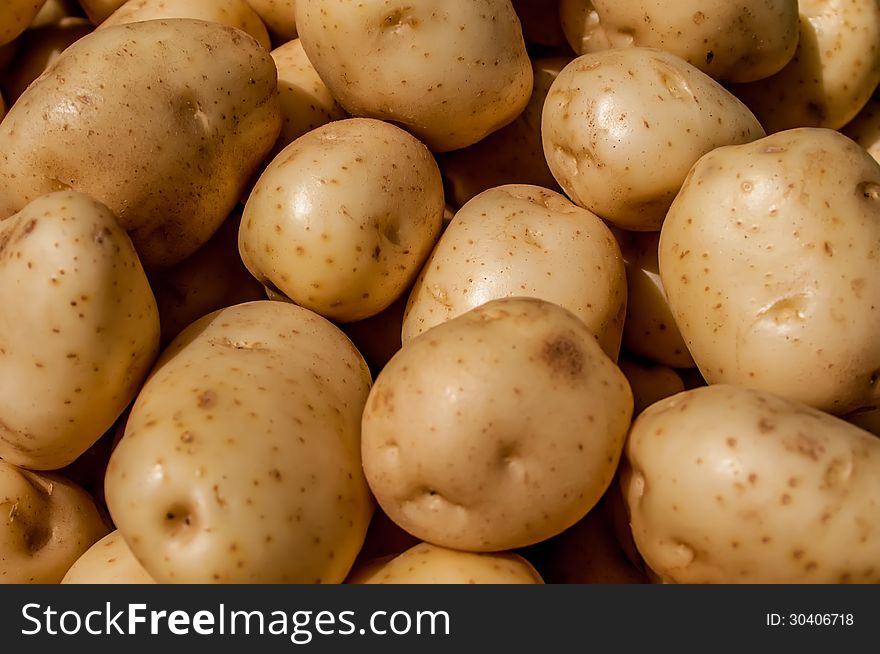 Close up of big white potatoes on market stand