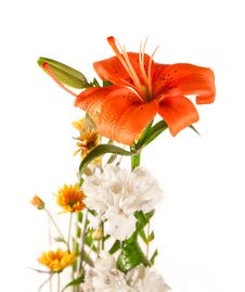 Beautiful Bouquet Of Lily And White Flower Stock Image Beautiful Bouquet Of Lily And White Flower Stock Image