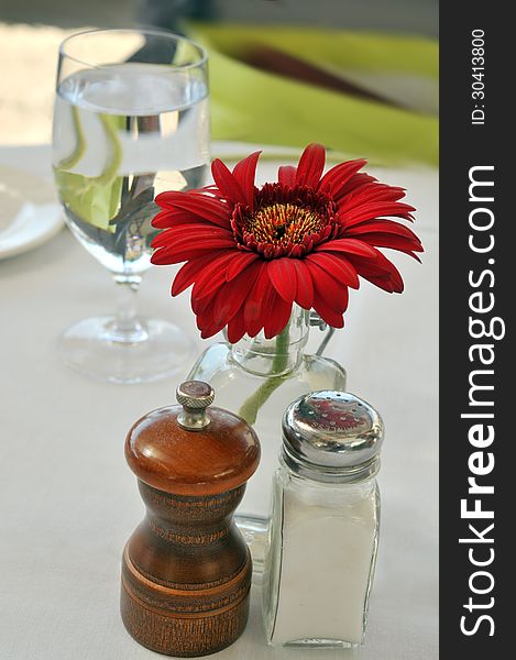 Salt and pepper shakers with burgundy color flower on the table