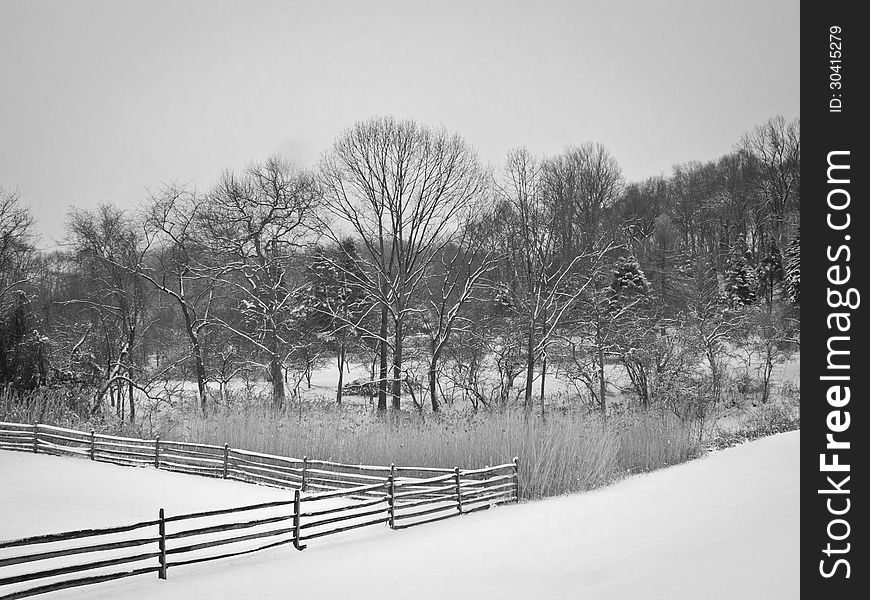 A snowy meadow on an overcast Winter day in Holmdel,New Jersey. A snowy meadow on an overcast Winter day in Holmdel,New Jersey.