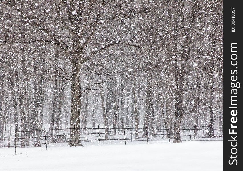 April showers in the form of a snowstorm. Landscape view of trees and fence line. Spring in Wisconsin. April showers in the form of a snowstorm. Landscape view of trees and fence line. Spring in Wisconsin