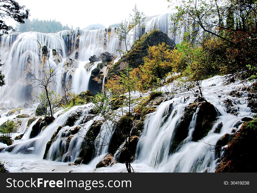 Autumn tree and lake in jiuzhaigou,Sichuan,China