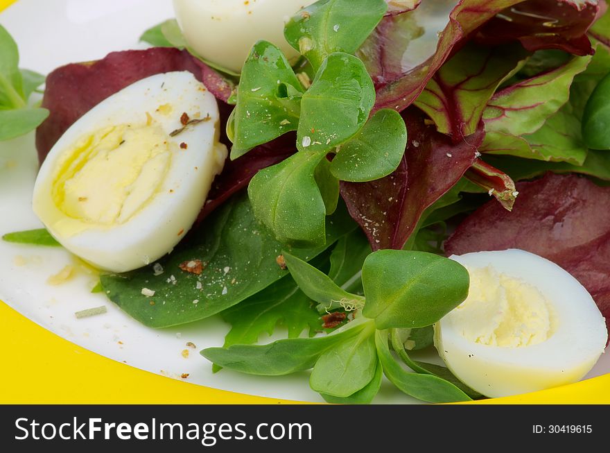 Greens Salad with Corn Salad, Chard, Quail Eggs and Olive Oil on Yellow Plate closeup