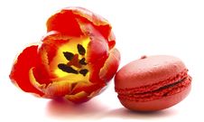 Tulip With Macaroon Stock Photography
