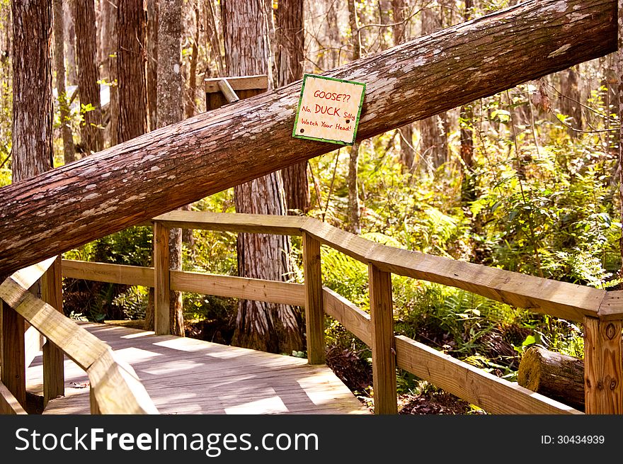 Sign on tree