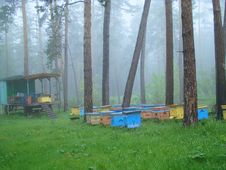 Apiary In The Forest Royalty Free Stock Photos Apiary In The Forest Royalty Free Stock Photos