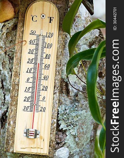 Wooden Celsius Fahrenheit thermometer
