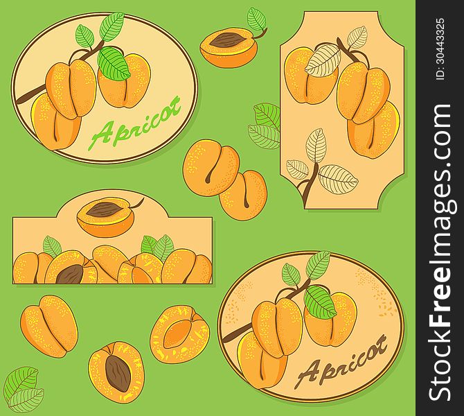 Vector set of elements with apricot on green