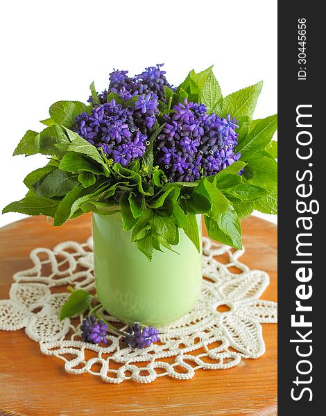 Grape hyacinths flowers