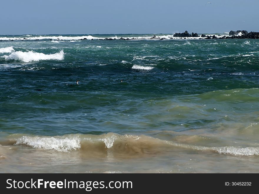 Rocky coastline in west Africa.