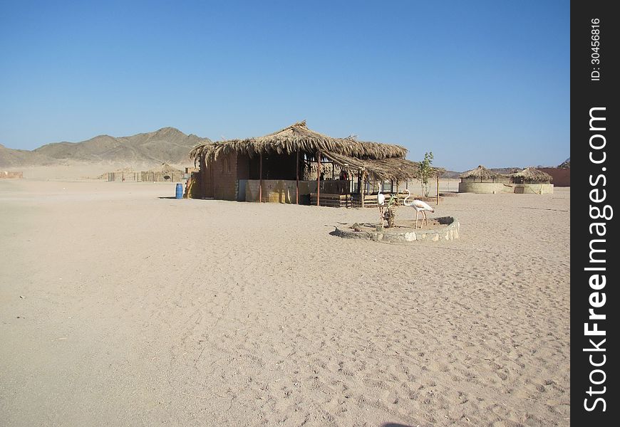 Egypt, Bedouin village in Sahara desert