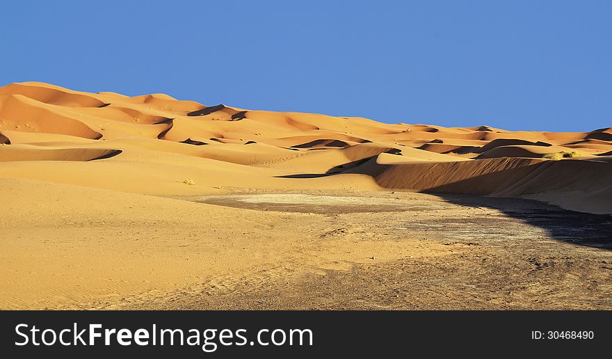 Beautiful sand dunes and blue sky