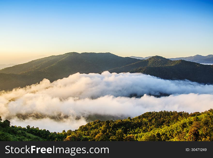 Beautiful misty morning at Maetang,Chiang mai,Thailand